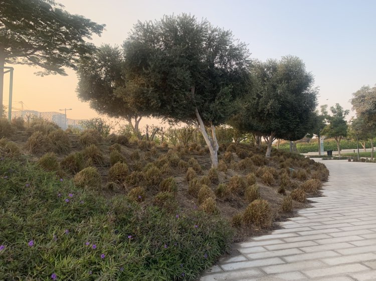 walking near me in Crescent Park in winter