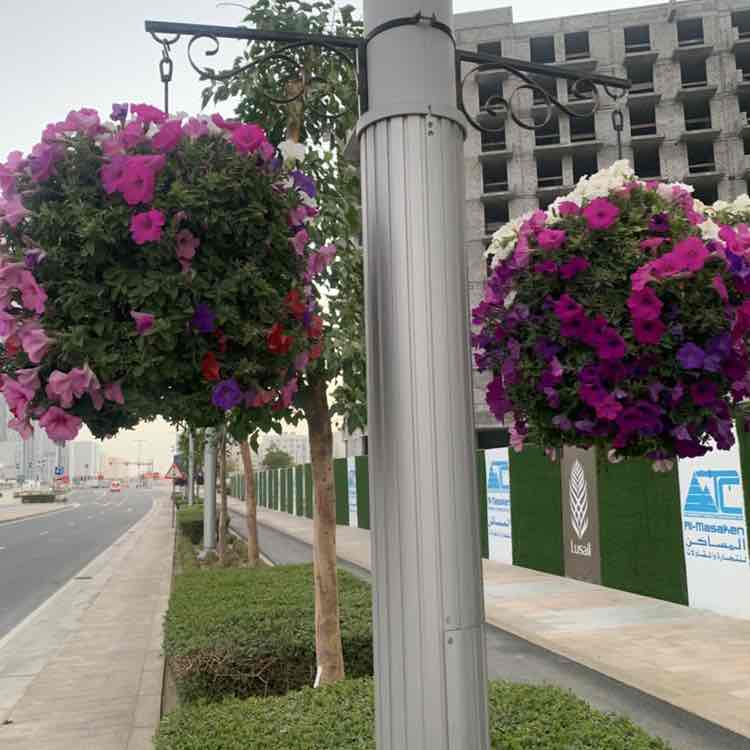 Mohamed Ali post 2