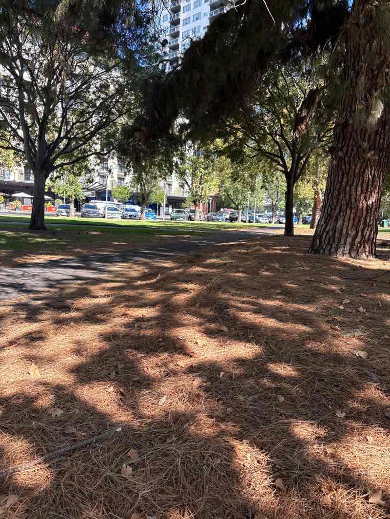 walking near me in Hindmarsh Square in summer