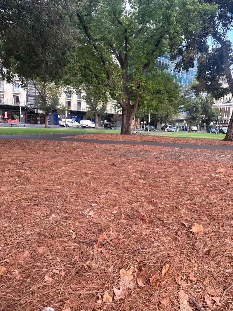 walking near me in Hindmarsh Square in summer