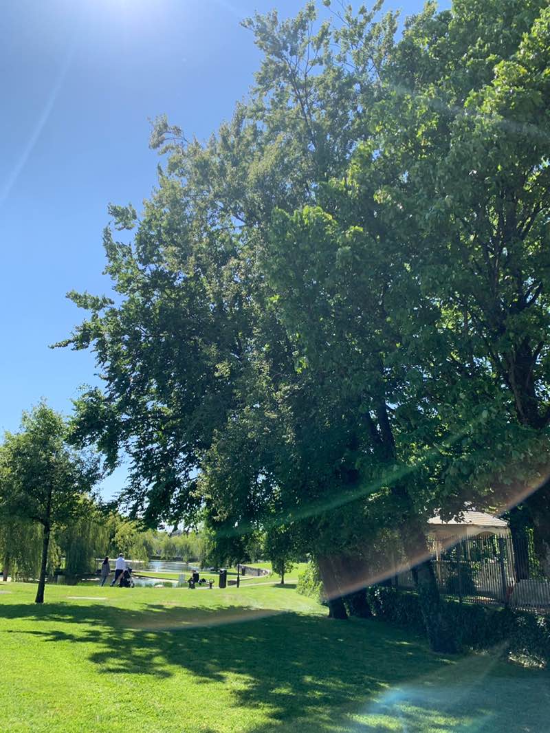 walking near me in Town Park in spring