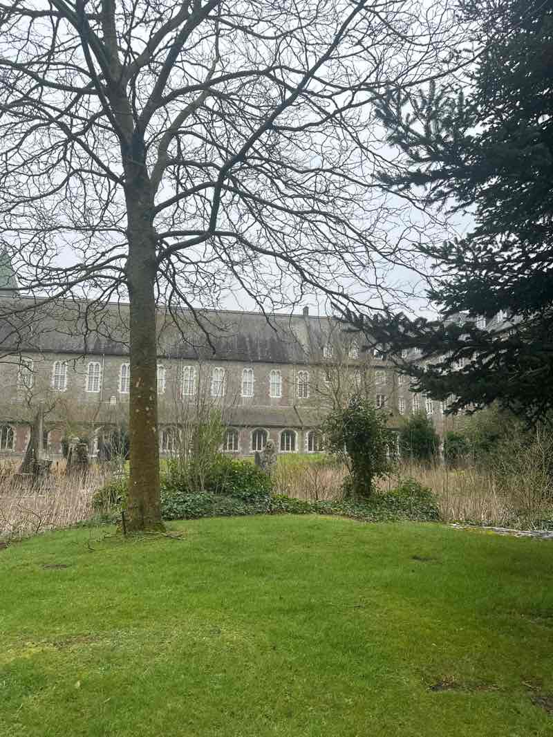 walking near me in Saint Mary's Square in spring
