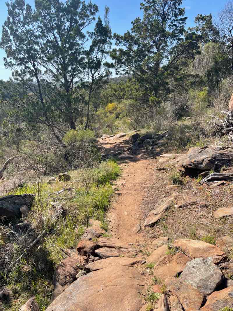 walking near me in Kinchina Conservation Park in summer