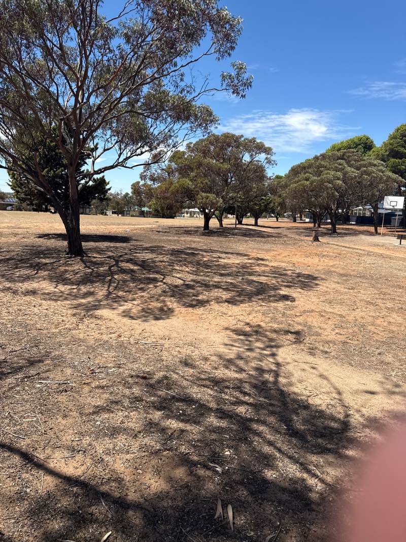 walking near me in Wickens Reserve in summer