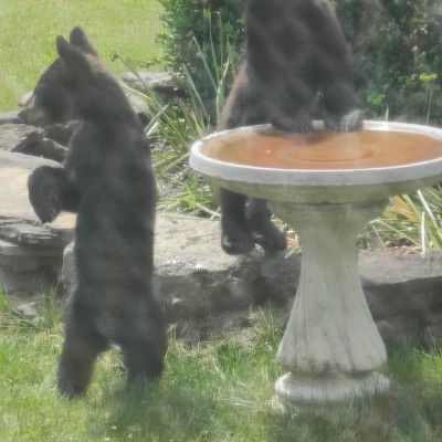 Christine Brace Smith post 1