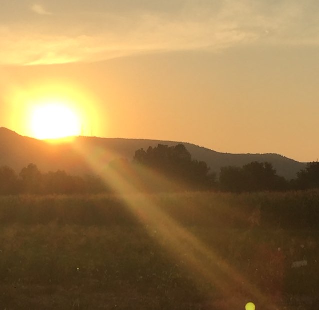 ☀️ sunshine ☀️