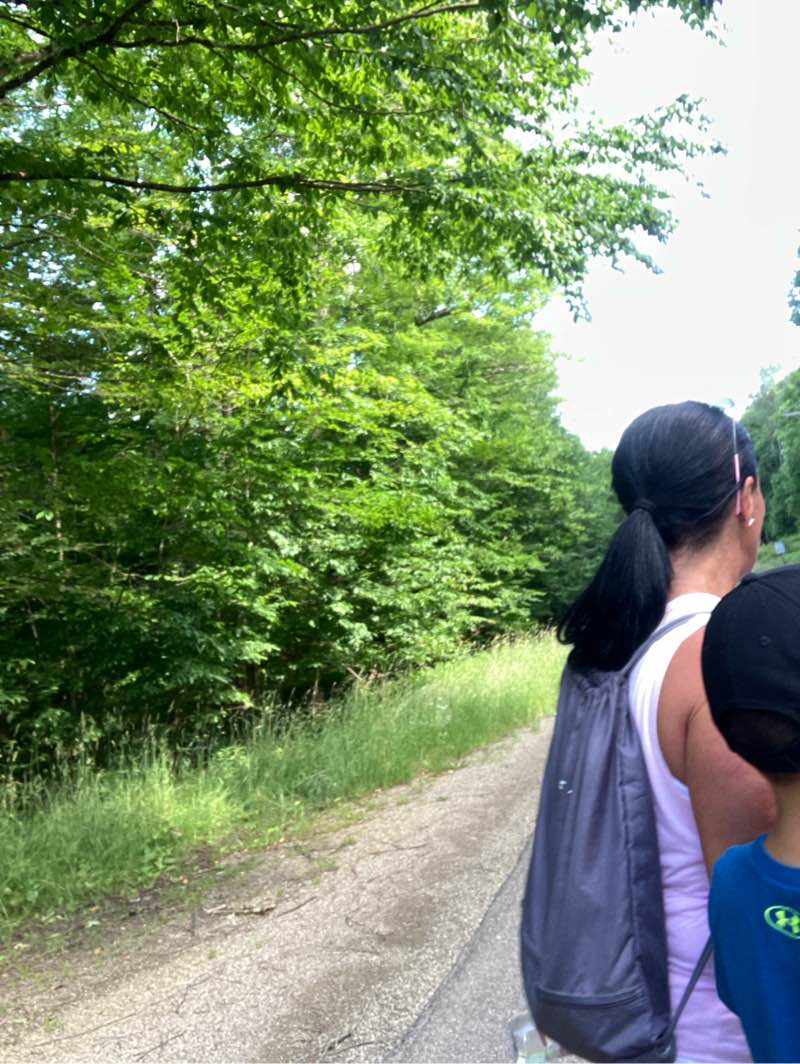 walking near me in Susquehannock State Forest in winter