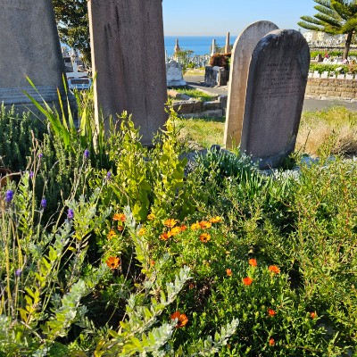 Team_hobo_fit Rola post image