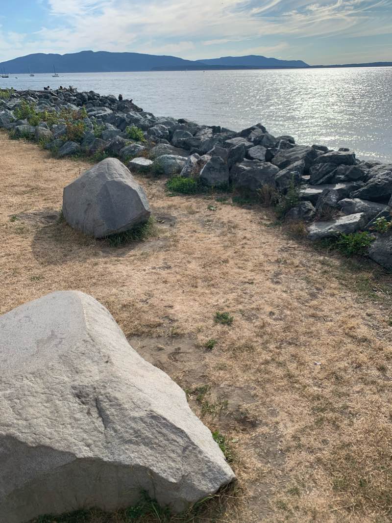 walking near me in Waypoint Park in winter