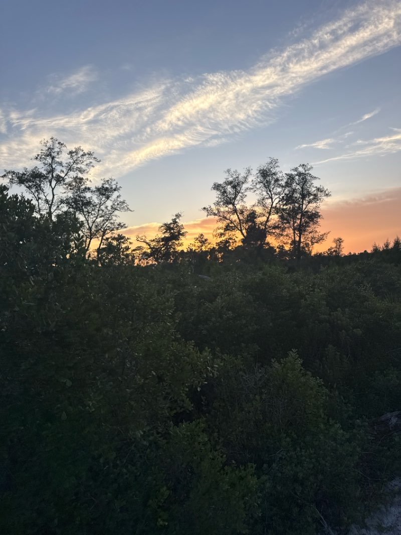 walking near me in Little Big Econ State Forest in summer