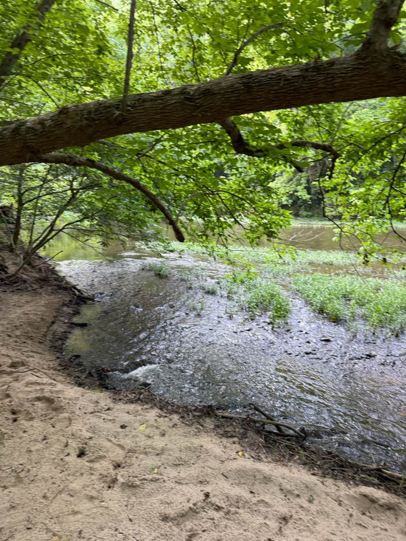 walking near me in Miller Sanctuary State Nature Preserve in summer