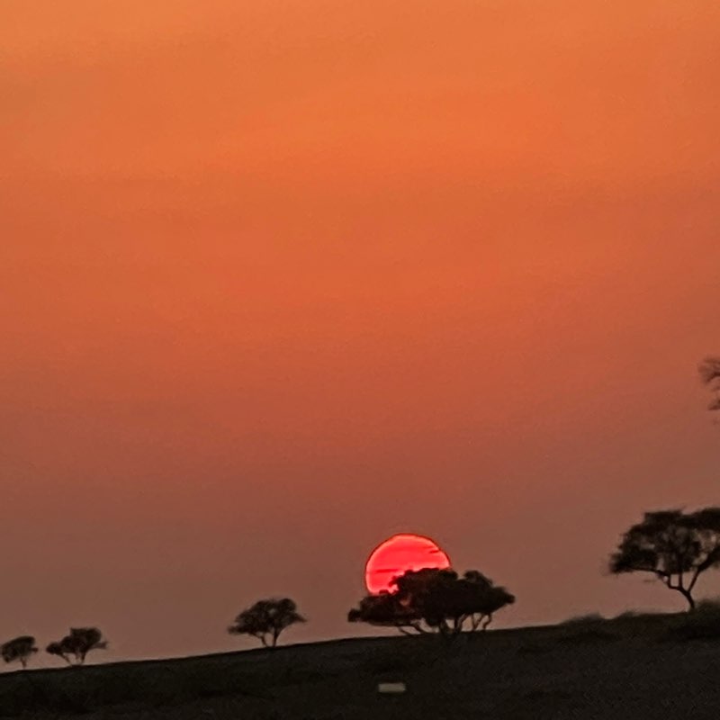 Yousef Salem profile