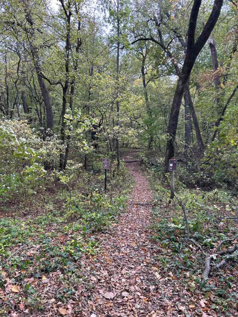 walking near me in Sakatah Lake State Park in winter
