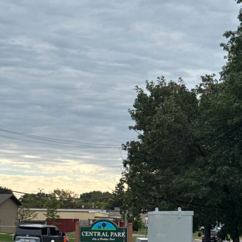 The Mrs Walker post 1