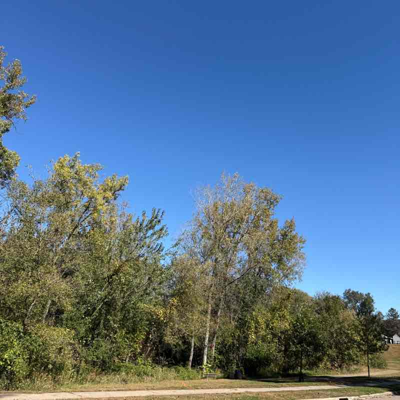 The Mrs Walker post 1