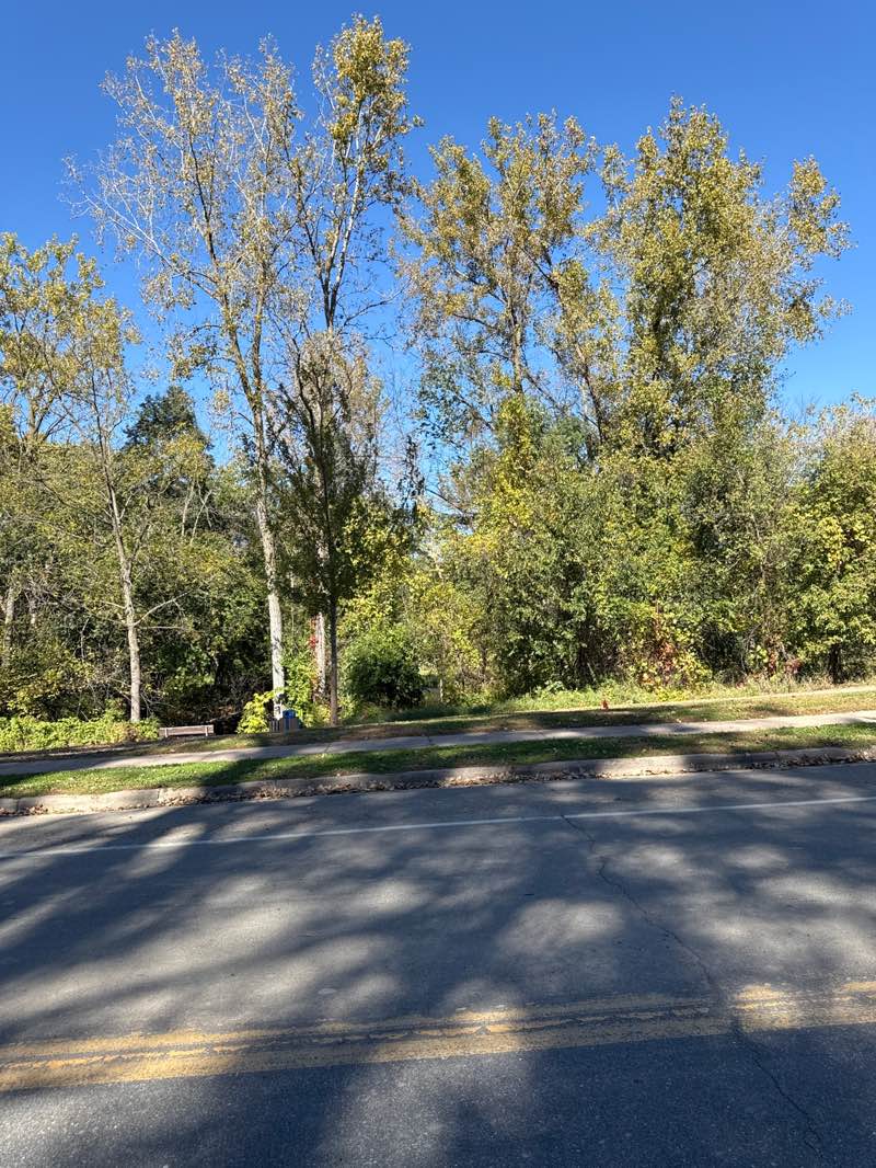 walking near me in Creekview Park in autumn