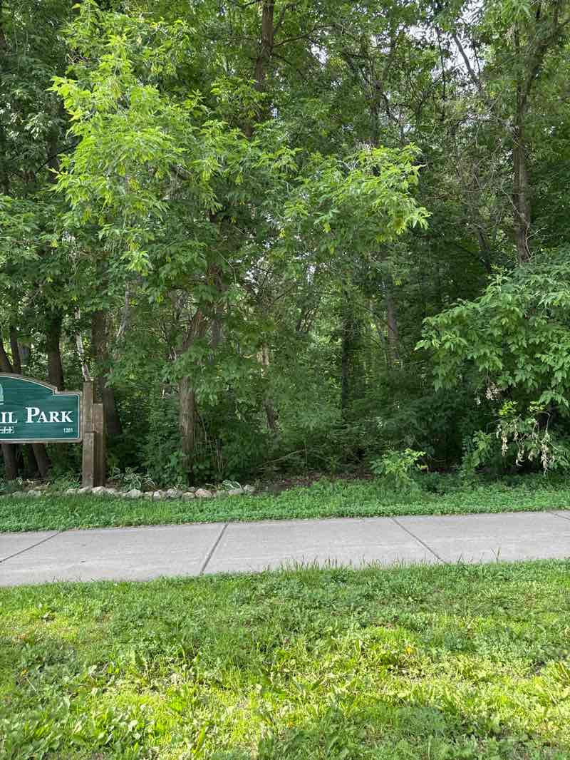 walking near me in Cottontail Park in summer