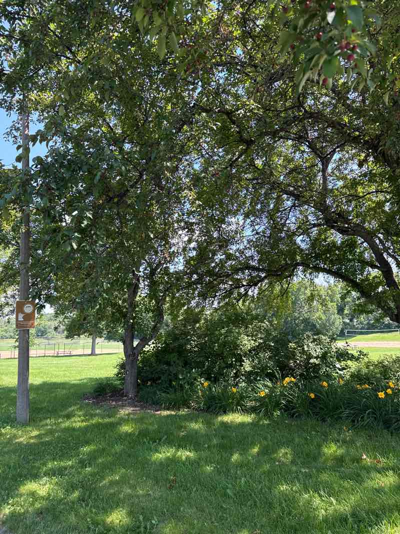 walking near me in Rahn Park in summer