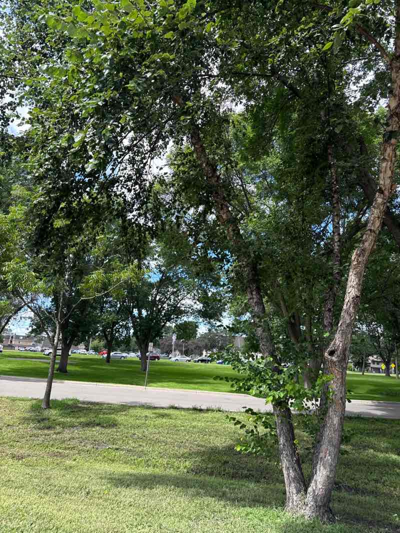 walking near me in Central Park in autumn