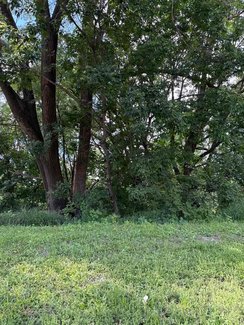 walking near me in Applewood Overlook in autumn