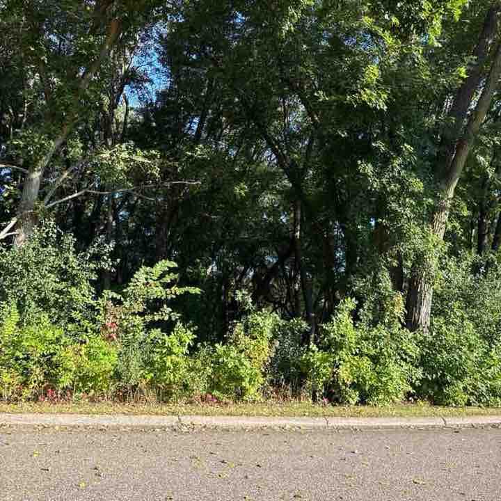 The Mrs Walker post 3