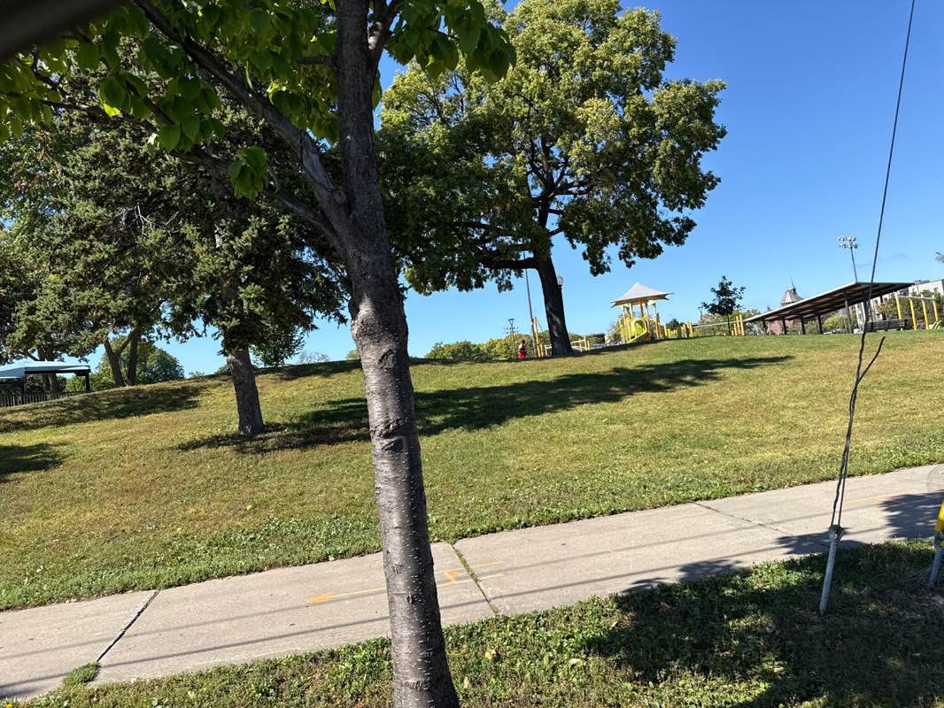walking near me in Peavey Field in autumn