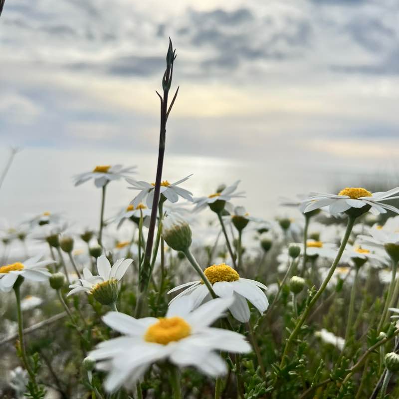 ℝ𝕒𝕝𝕦𝕔𝕒 post 3