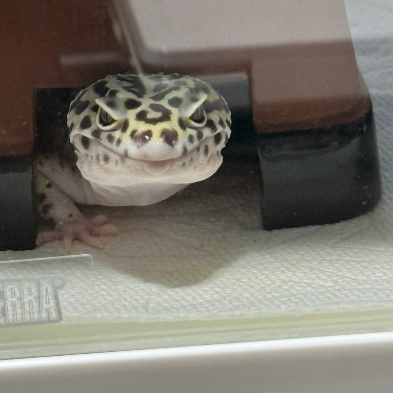 朋之