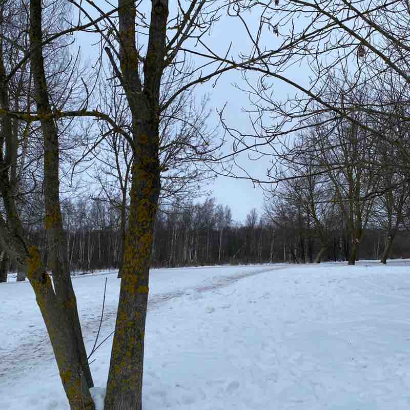 Zvezda Andreevna post 1