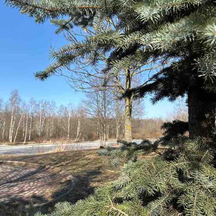 Zvezda Andreevna post 1