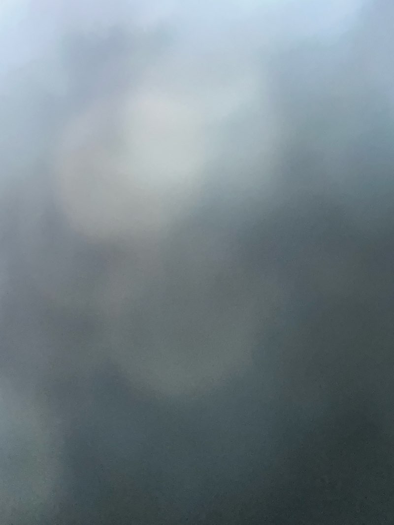 walking near me in Oak Forest Heritage Preserve in winter