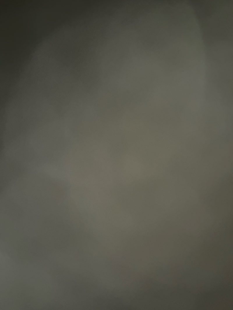 walking near me in Wentworth Woods in winter