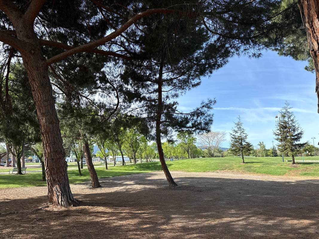 walking near me in Emerald Glen Community Park in spring