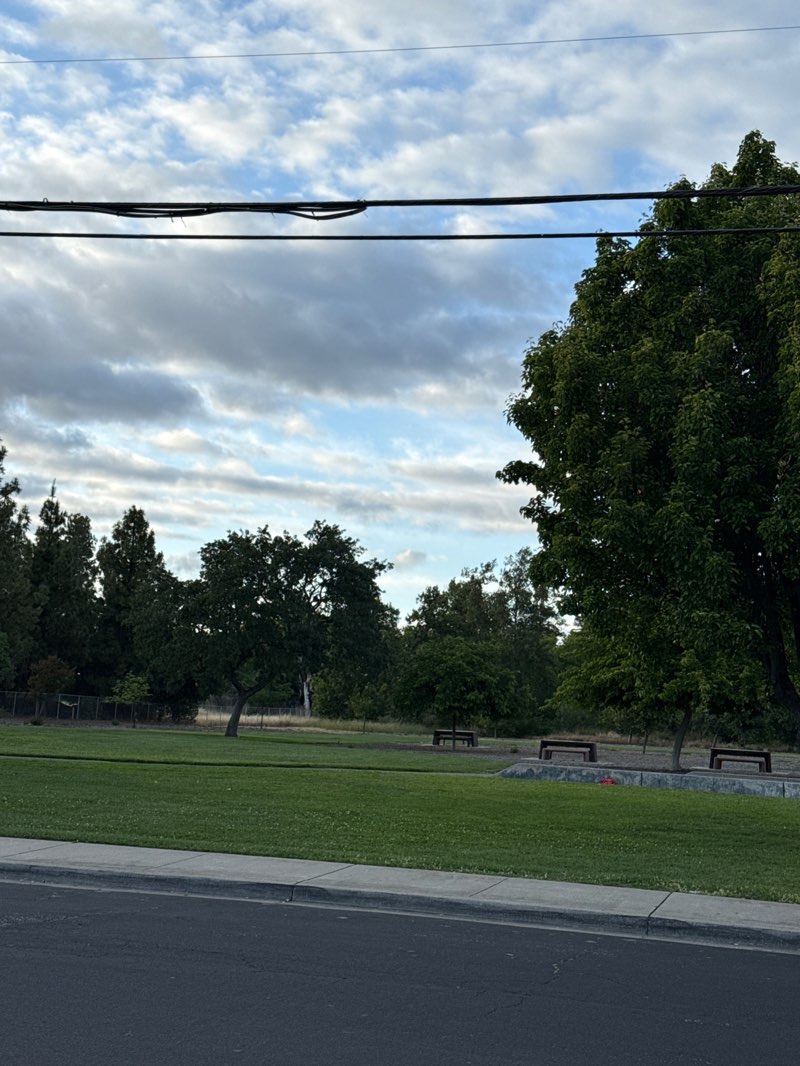 walking near me in Mocho Park in spring