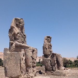 thomas.morgenth profile