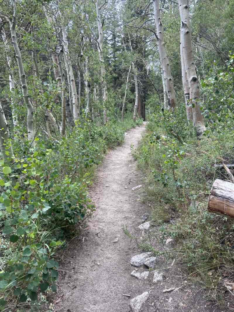 walking near me in John Muir Wilderness in summer