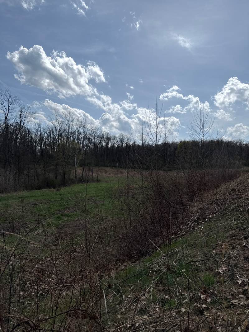 walking near me in Settlers Cabin Park in spring