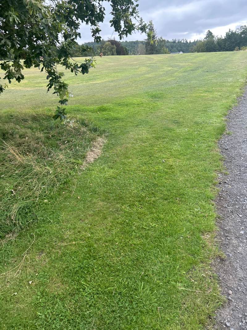 walking near me in Millennium Park in autumn