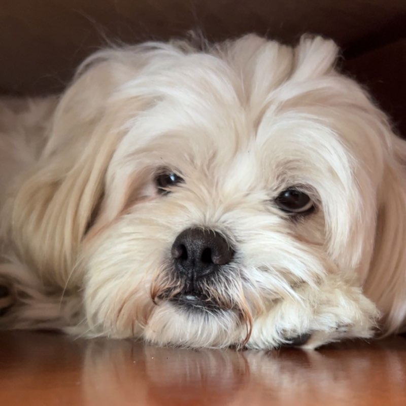 Tsering Tsering profile