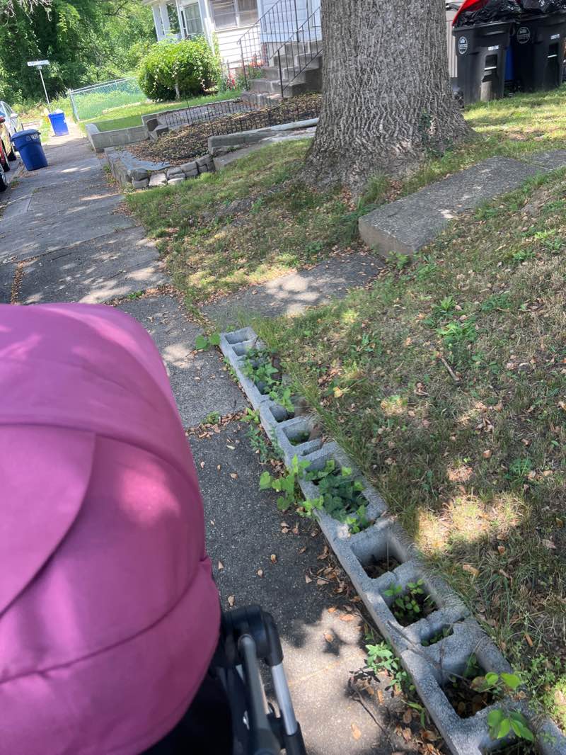 walking near me in Chester Park in winter