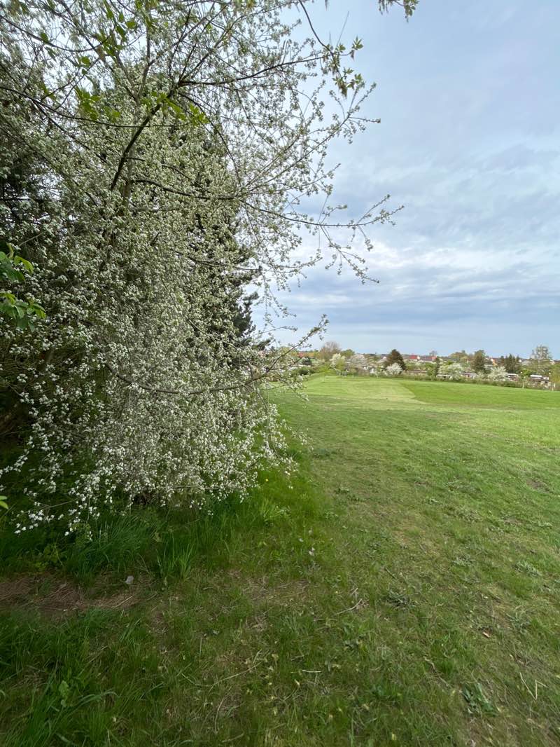 walking near me in Park Lichtenhagen in winter