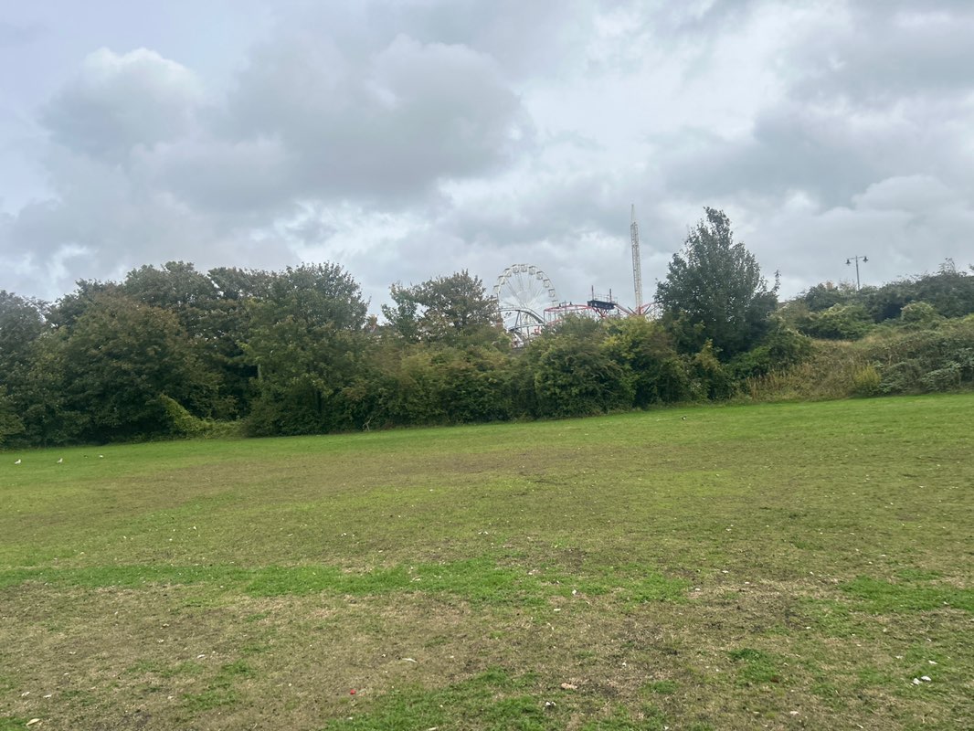 walking near me in Maslin Park in autumn