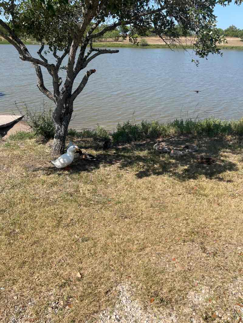 walking near me in Bishop City Park in winter