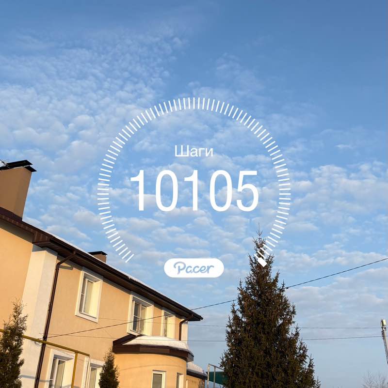 Подруга друга 🐯 post 1