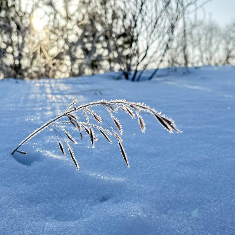 Подруга друга 🐯 post 1