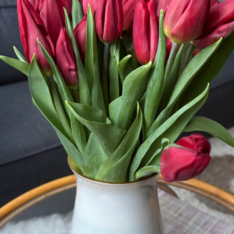 Подруга друга 🐯 post 2