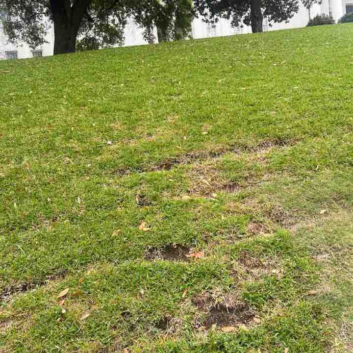 Seshu Girinath post 1