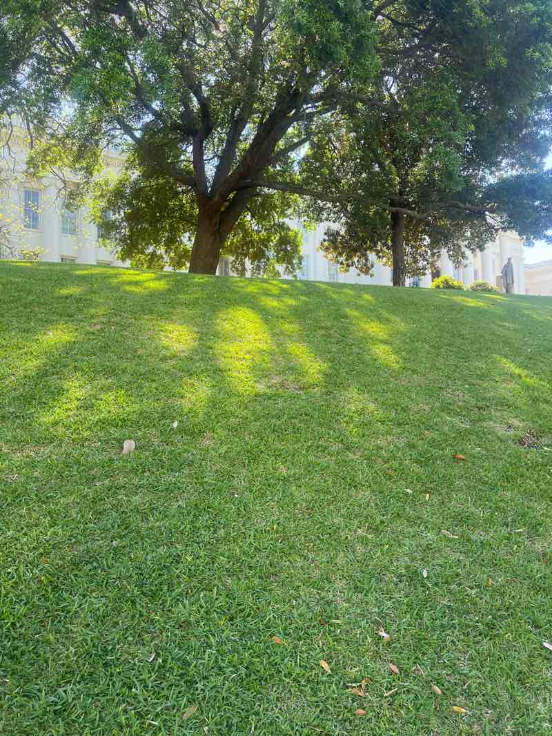 walking near me in Alabama State Capitol Grounds in spring