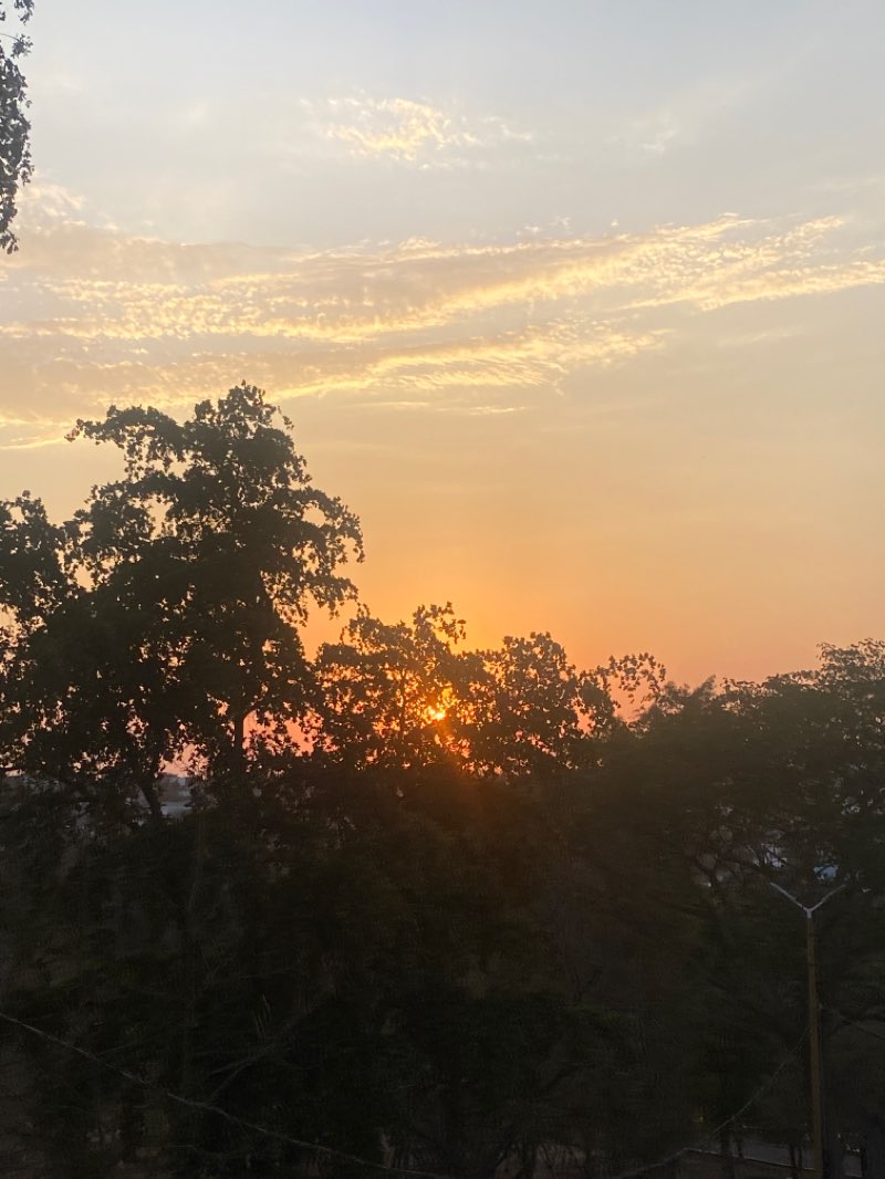 walking near me in parque 87 in winter