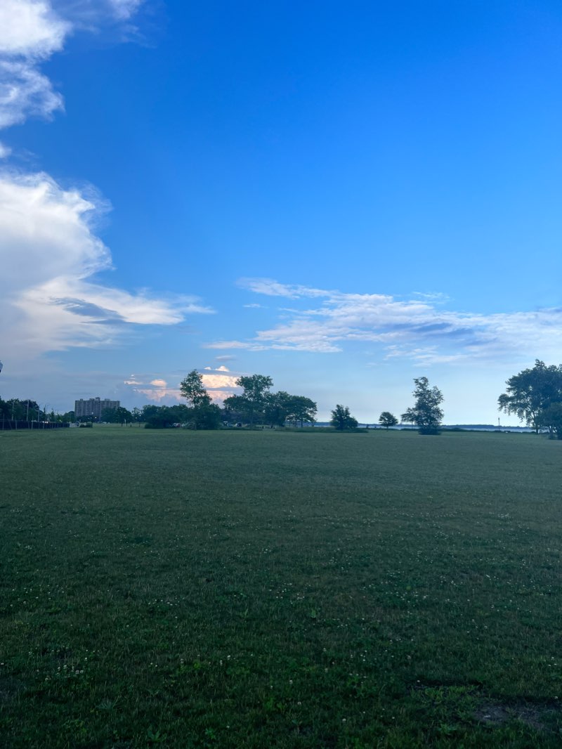 walking near me in Morse Park in winter